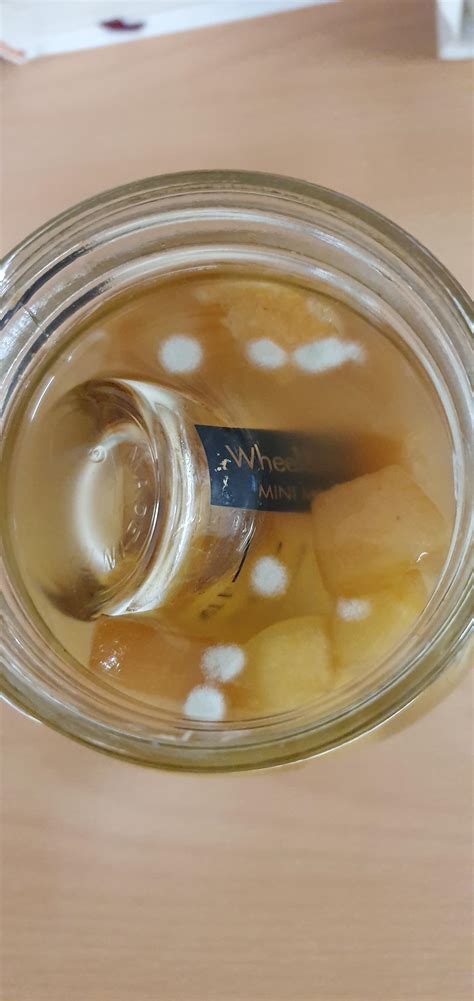 apple cider vinegar has stuff floating in it.